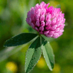 Решение рисунок 2