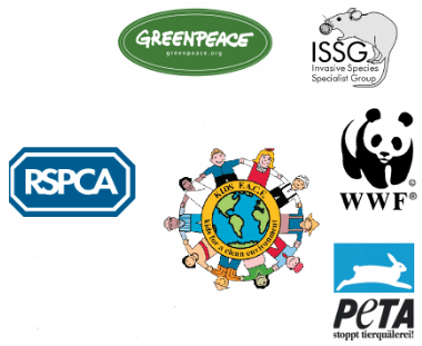 Задание рисунок 1