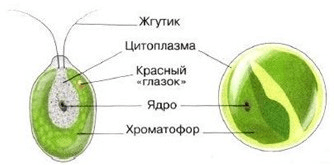 Решение рисунок 4